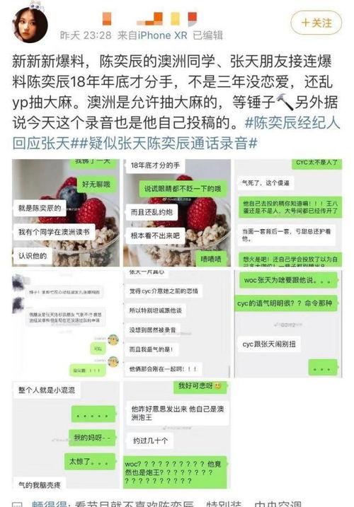 陈奕辰最新爆料视频播放,背后惊人真相曝光  第2张